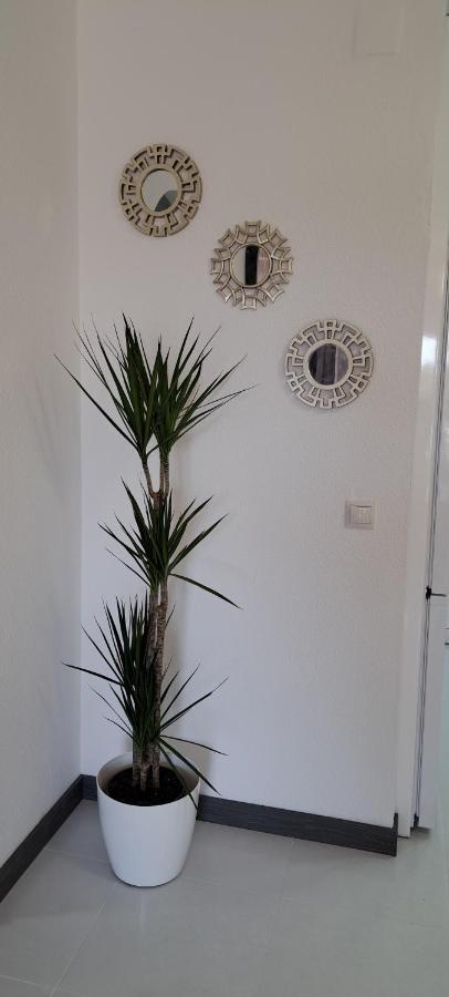 Apartamento Heco Peñíscola Exterior foto